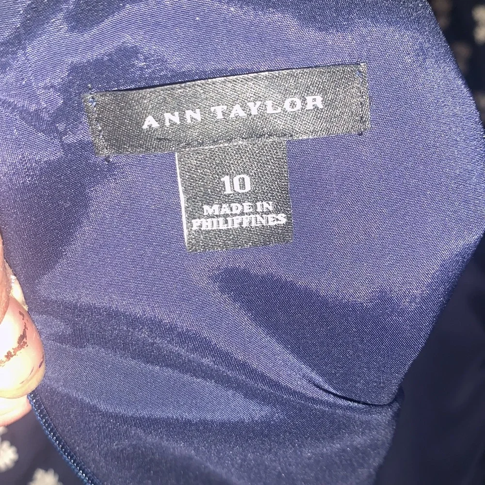 Ann Taylor embroidered sleeveless dress - Picture 9 of 12